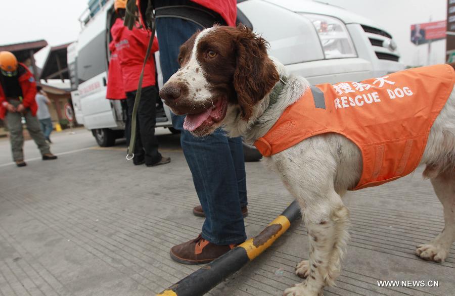 CHINA-SICHUAN-LUSHAN EARTHQUAK-RESCUE TEAM (CN) CHINA-SICHUAN-LUSHAN EARTHQUAK-RESCUE TEAM (CN)