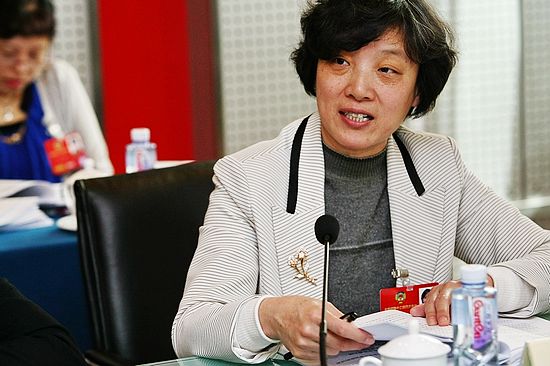 中华全国妇女联合会女委员讨论政府工作报告_