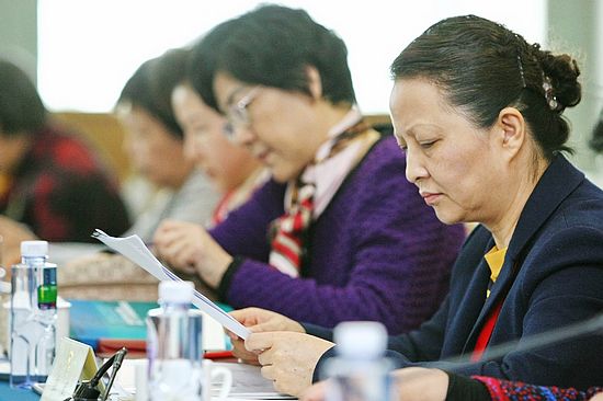 中华全国妇女联合会女委员讨论政府工作报告_