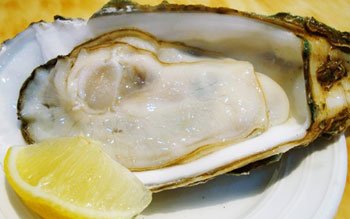 世博美食地图：抓住4月春光 吃最嫩生蚝肉