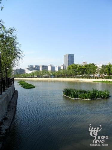 白莲泾：生态浮岛兼具净化和美化的双重功能