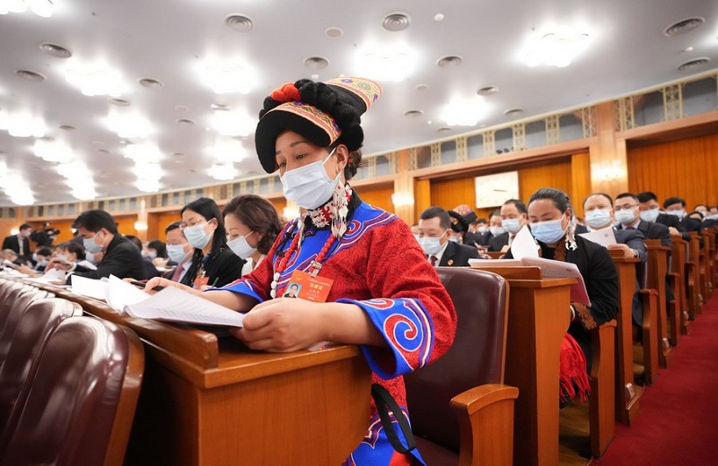 Why China s Whole Process People s Democracy Works
