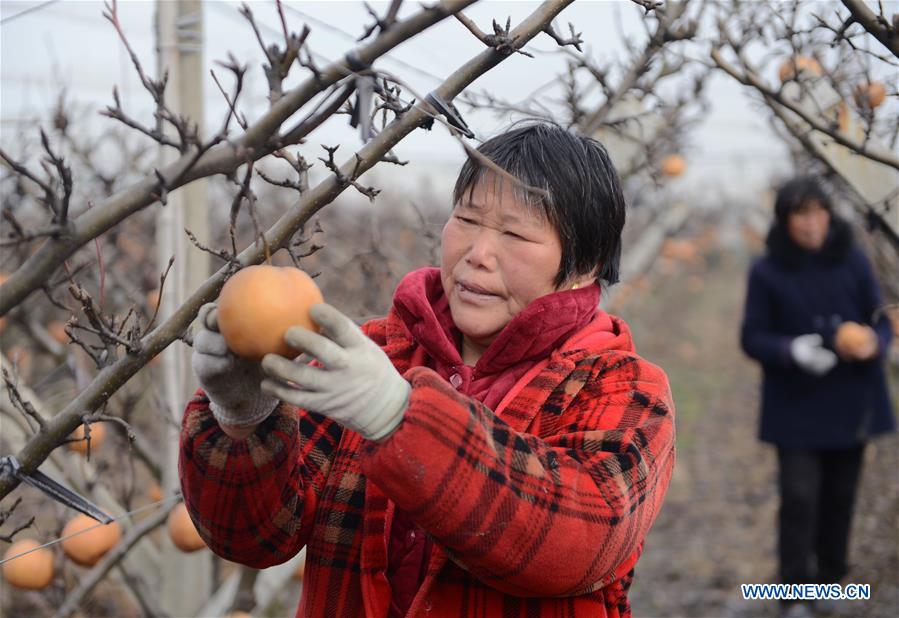 CHINA-ANHUI-IMPOVERISHED COUNTIES-OUT OF POVERTY (CN)