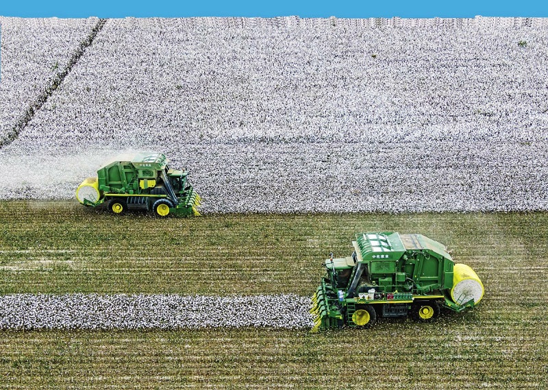 Cotton Picker