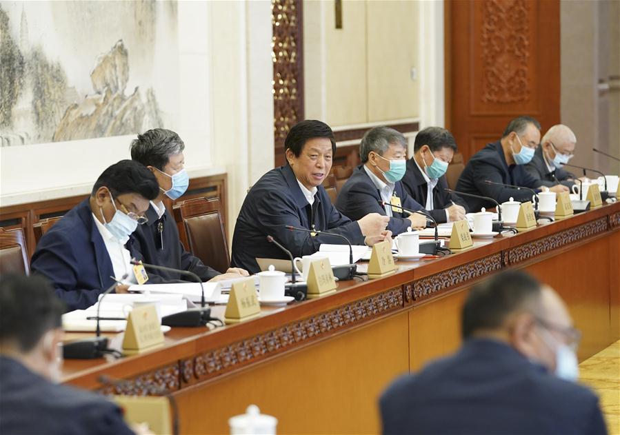 CHINA-BEIJING-LI ZHANSHU-NPC-GROUP DISCUSSIONS (CN)