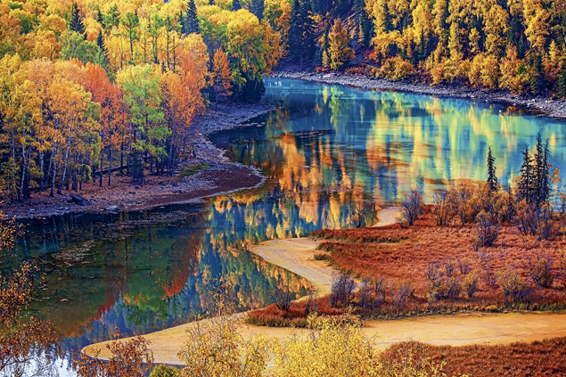 Couleurs D'automne Variés D'une Forêt Mixte Dans La Région De La