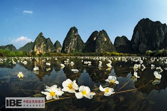 Publication du premier dossier d’images de la nature de la Chine