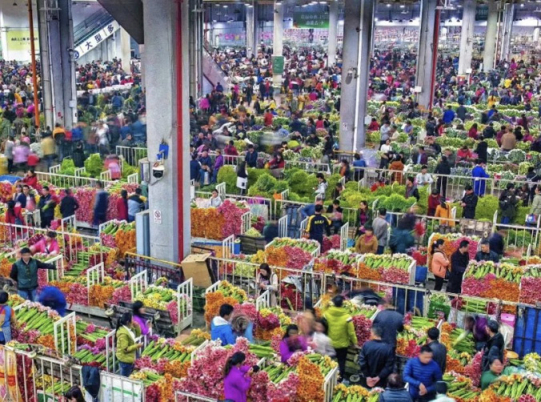 一枝鲜花飘香世界的时代印记(图3)