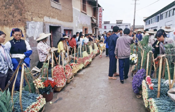 一枝鲜花飘香世界的时代印记(图1)
