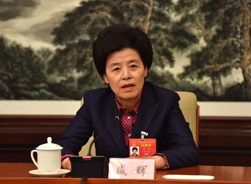 十三届全国人大代表,宁夏回族自治区政府主席咸辉